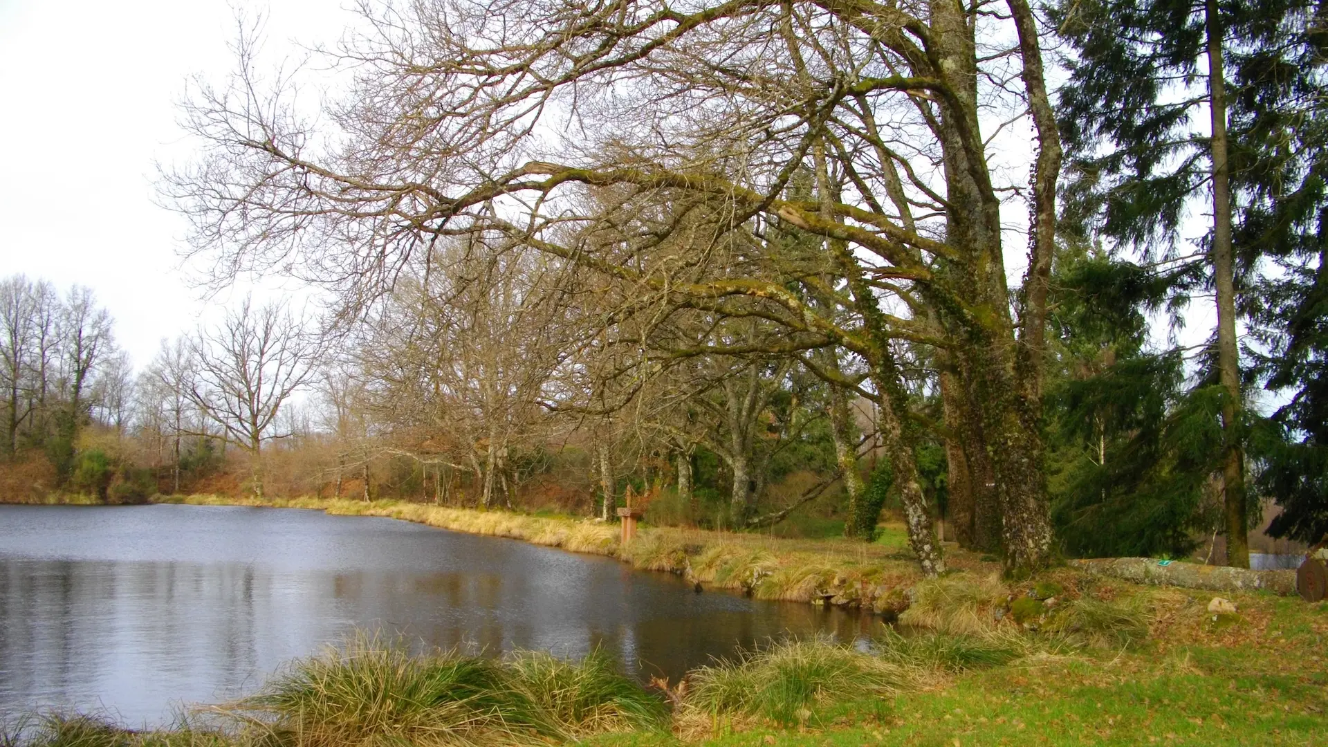 Etang Lama