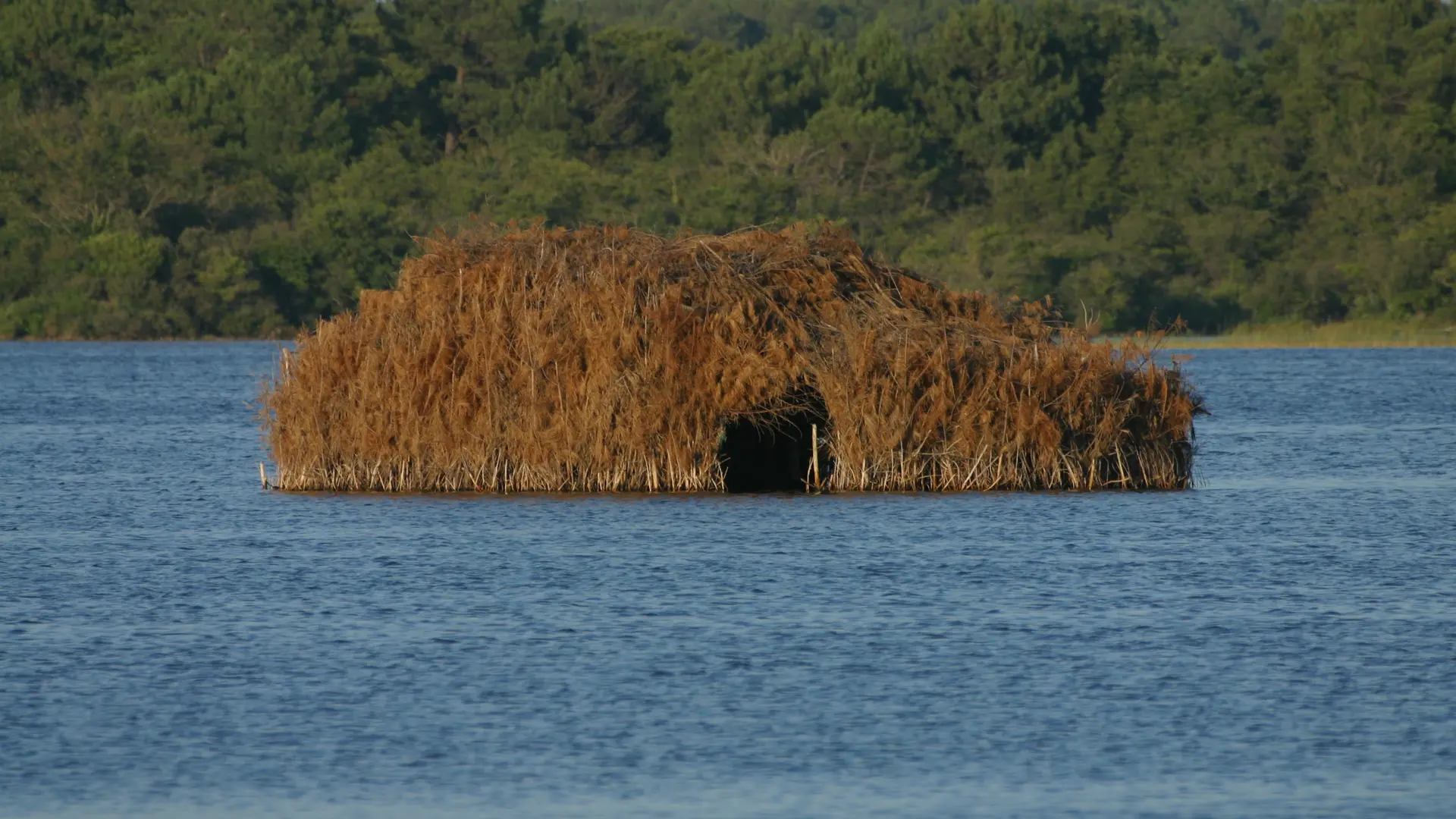 Etang blanc