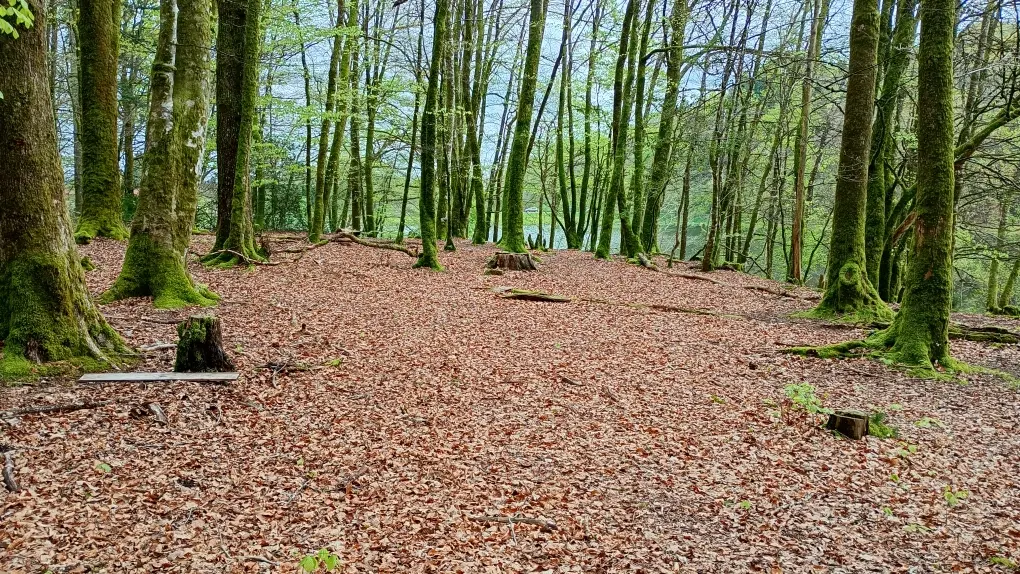 Pause au coeur de la Nature
