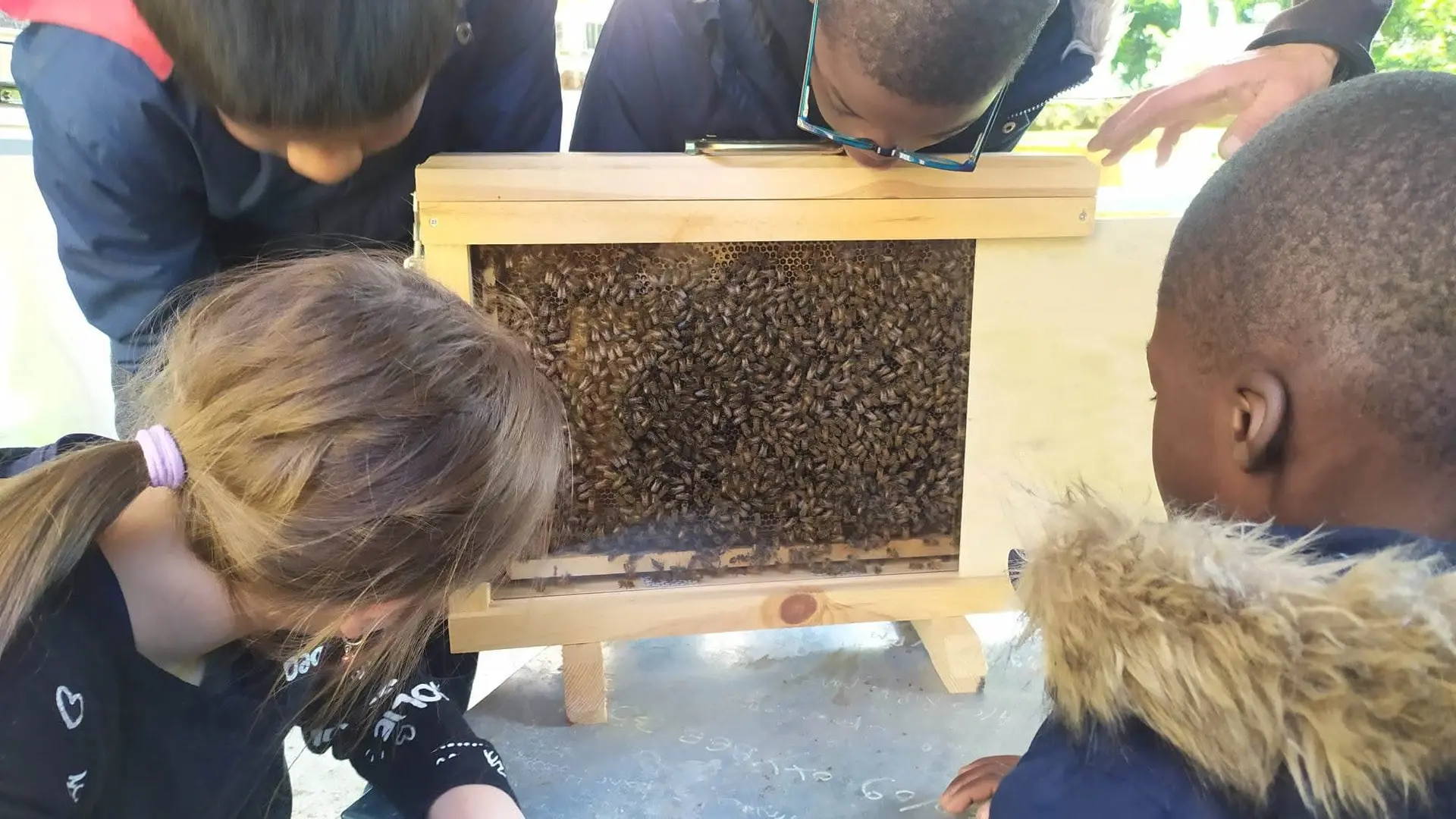 FB_IMG_1763621458635