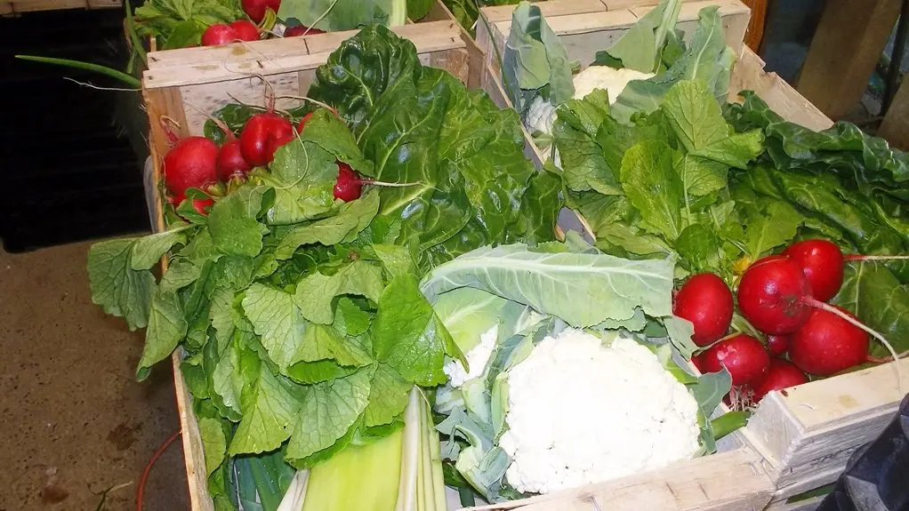 Ferme Coumet - Panier de légumes