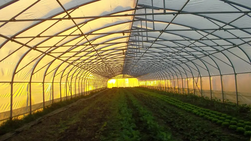 Ferme Coumet - Serre ensoleillée