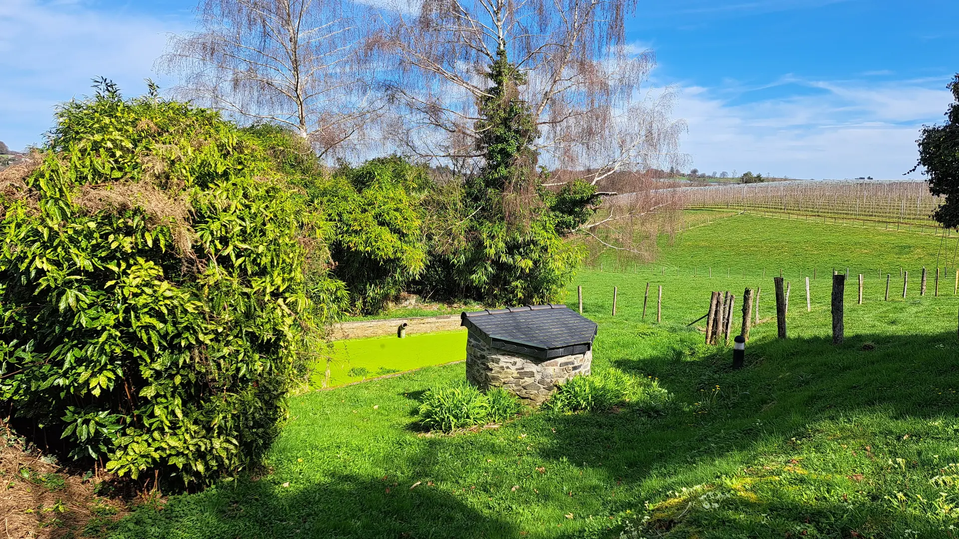 Fontaine - Les Vignes - Conceze - J.Lautrete - Office de Tourisme Terres de Correze (2)