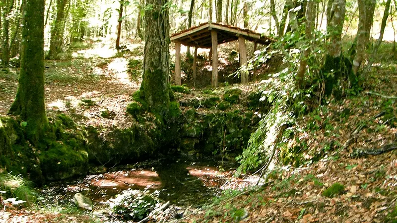 Fontaine des Nardoux 06-10 - 05