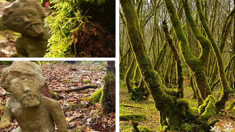 Foret_Blanchefort