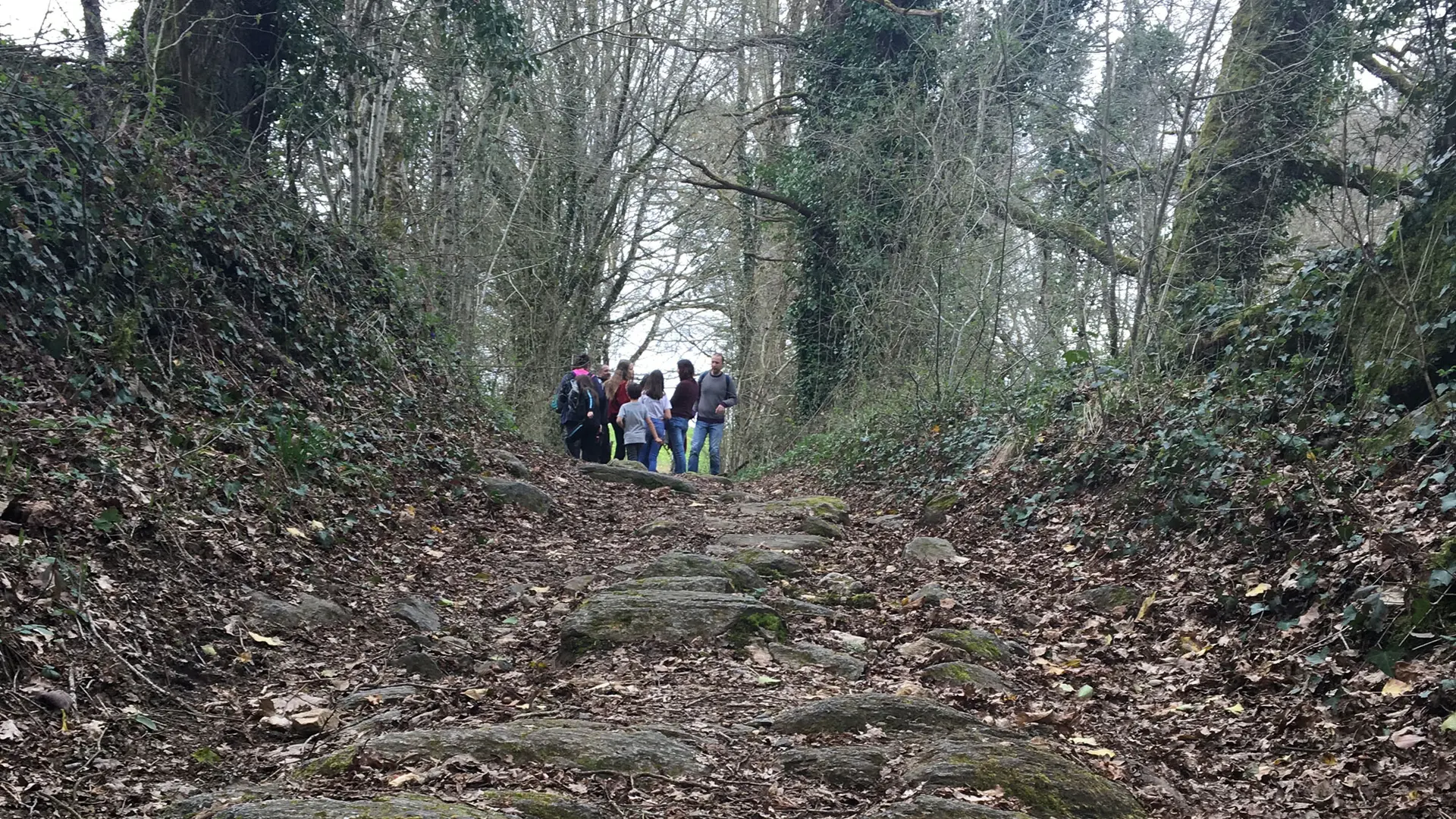 Forêt_blanchefort_4