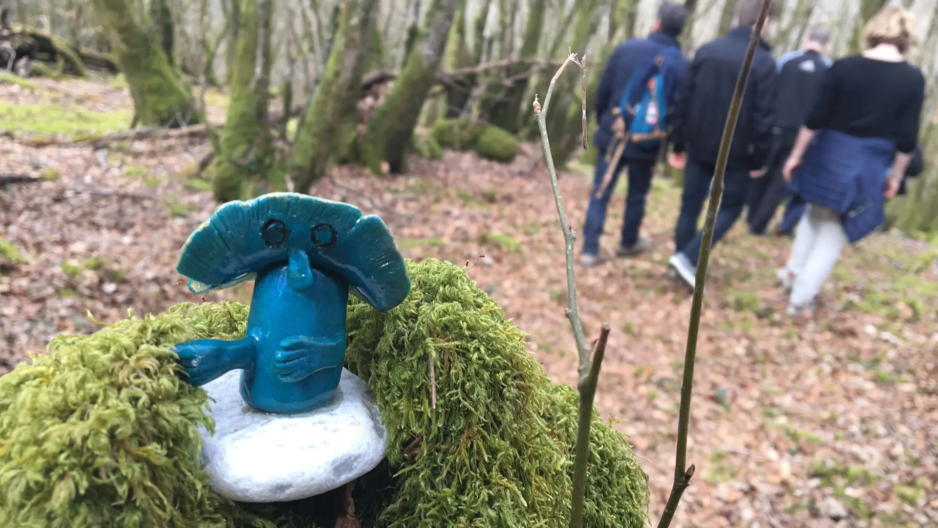 Forêt_blanchefort_5