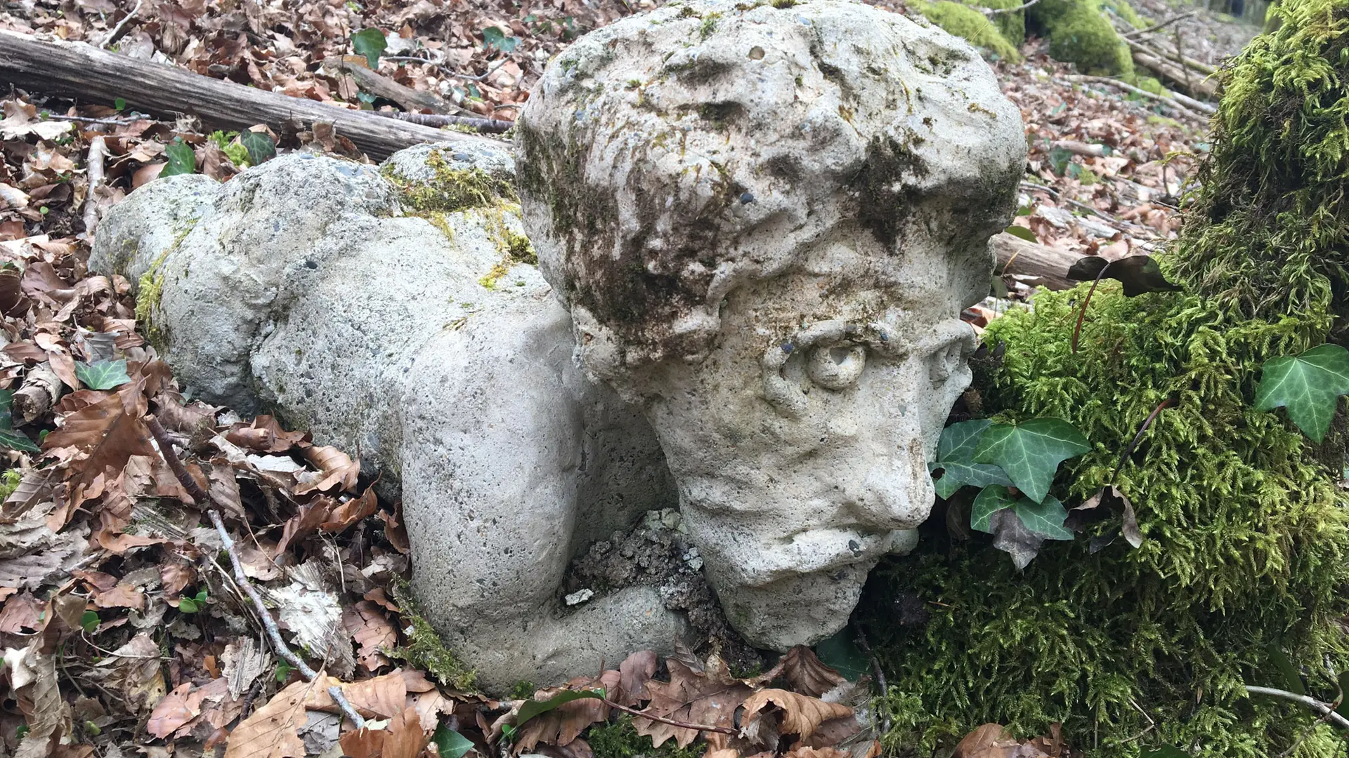 Forêt_blanchefort_1