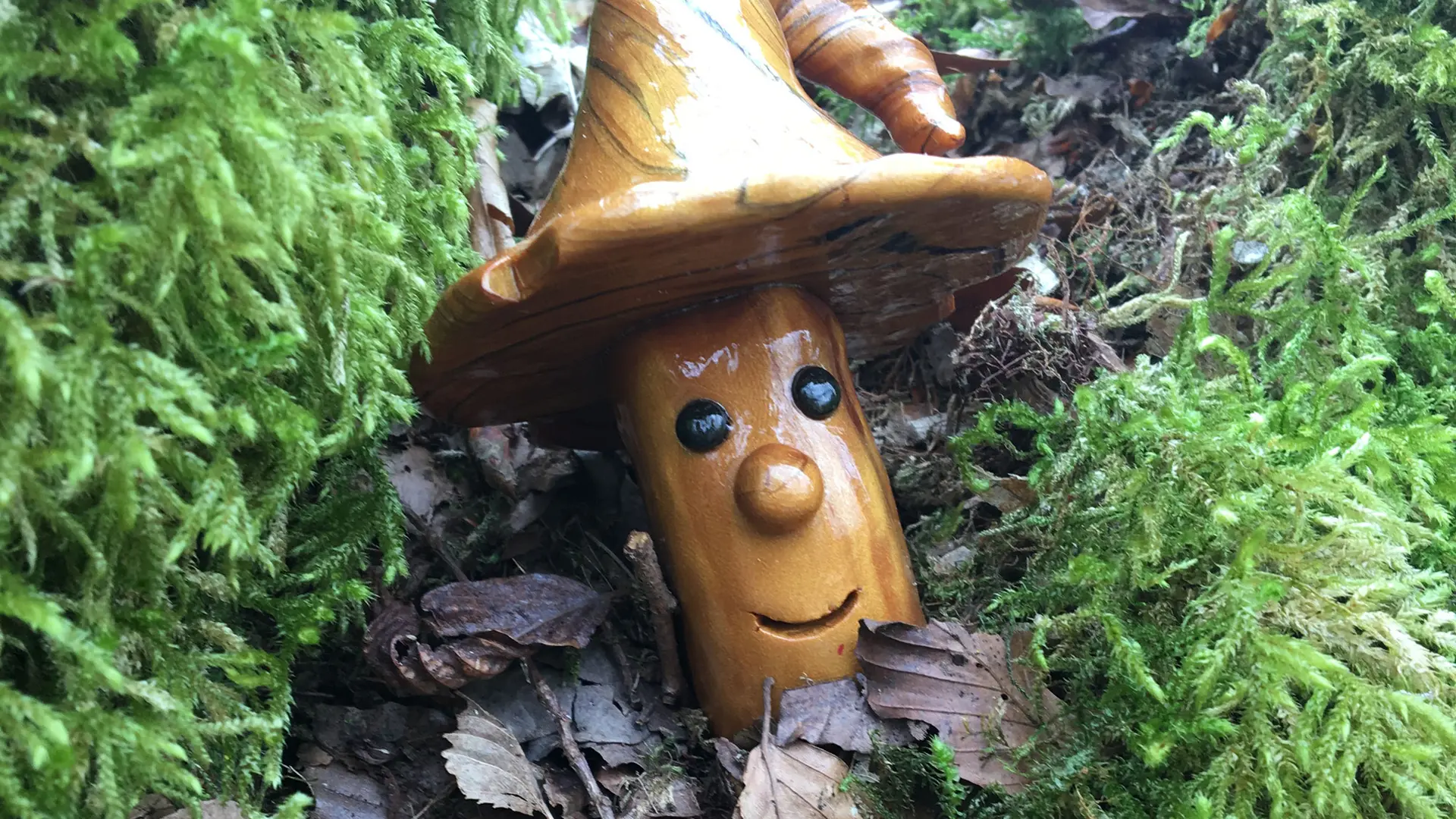 Forêt_blanchefort_2