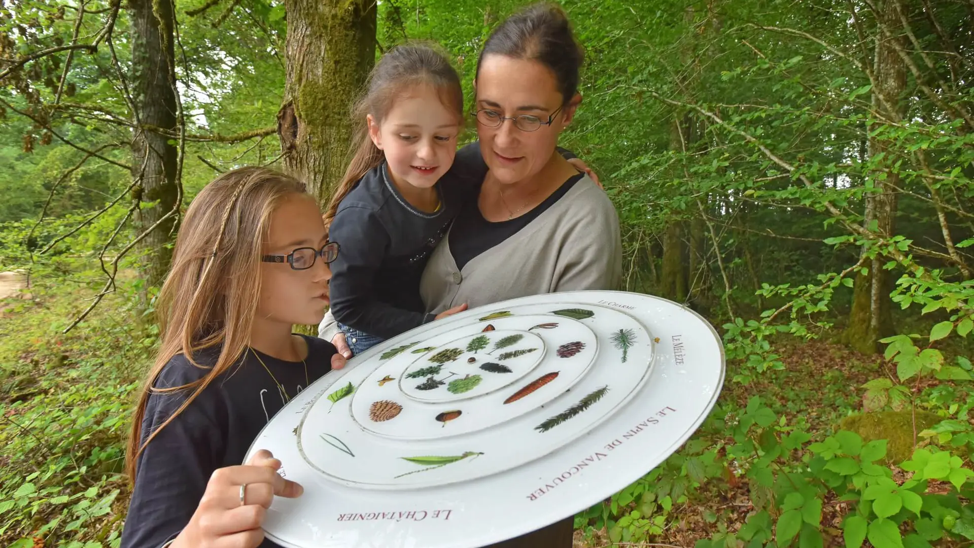 Sentier d'interprétation de la Forêt d'Épagne à Sauviat-sur-Vige en Limousin