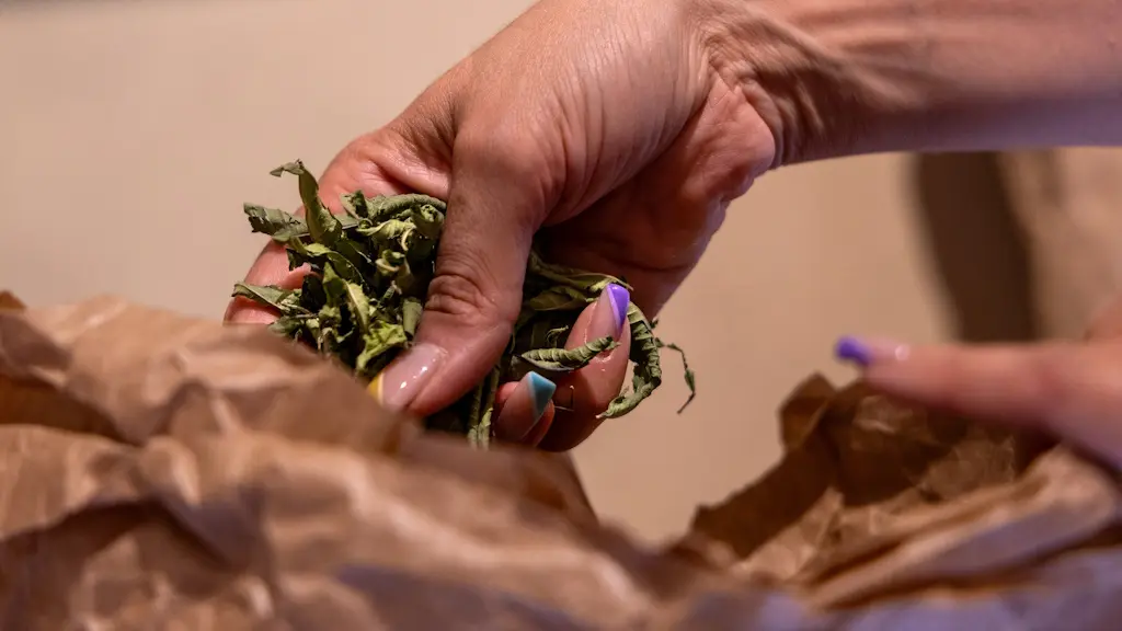 Foret jardin du petit Chavanat (11)