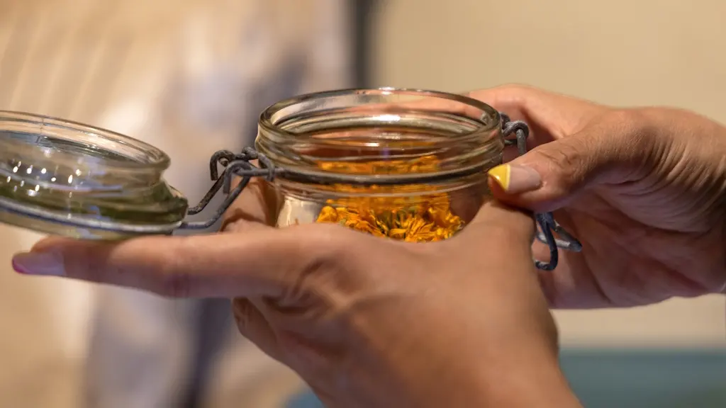 Foret jardin du petit Chavanat (6)