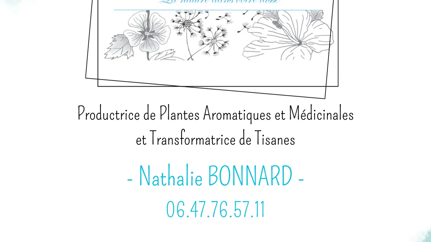Flyers Nathalie - 1