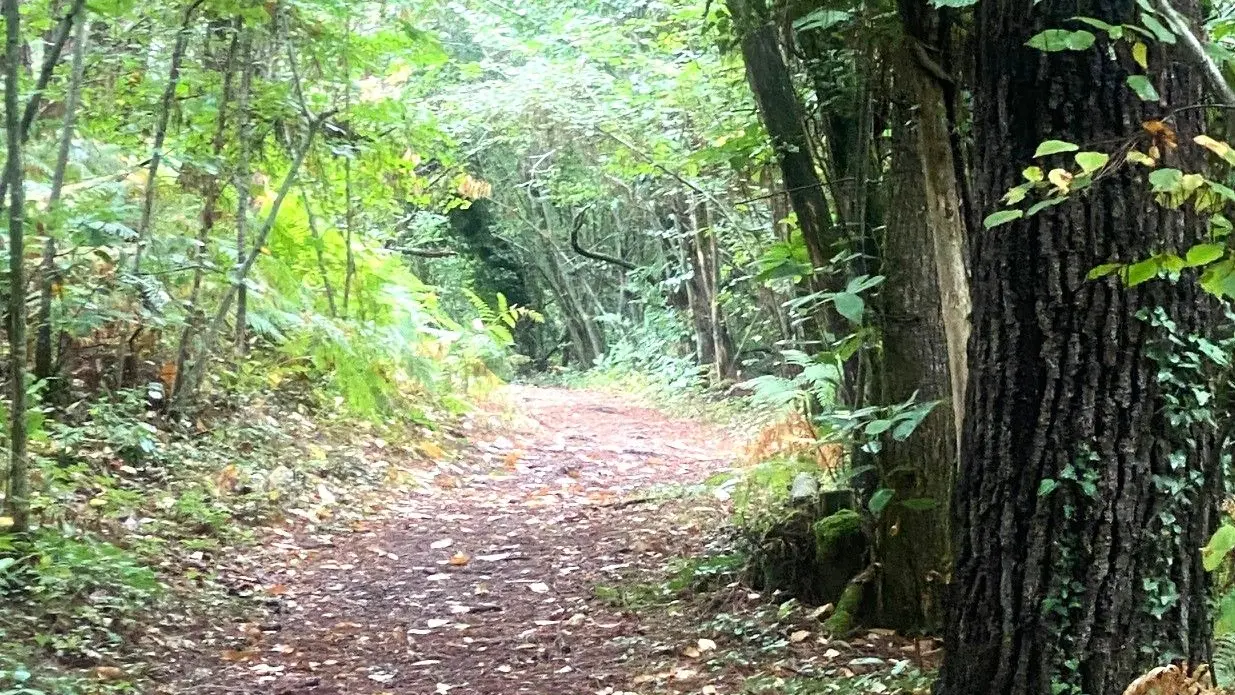 GRUN-BORDAS-Boucle de Grun-Chemin