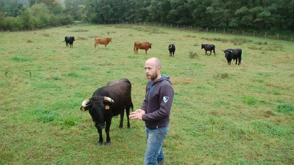 Ganaderia-Bodus---Poyanne---Julien-en-visite