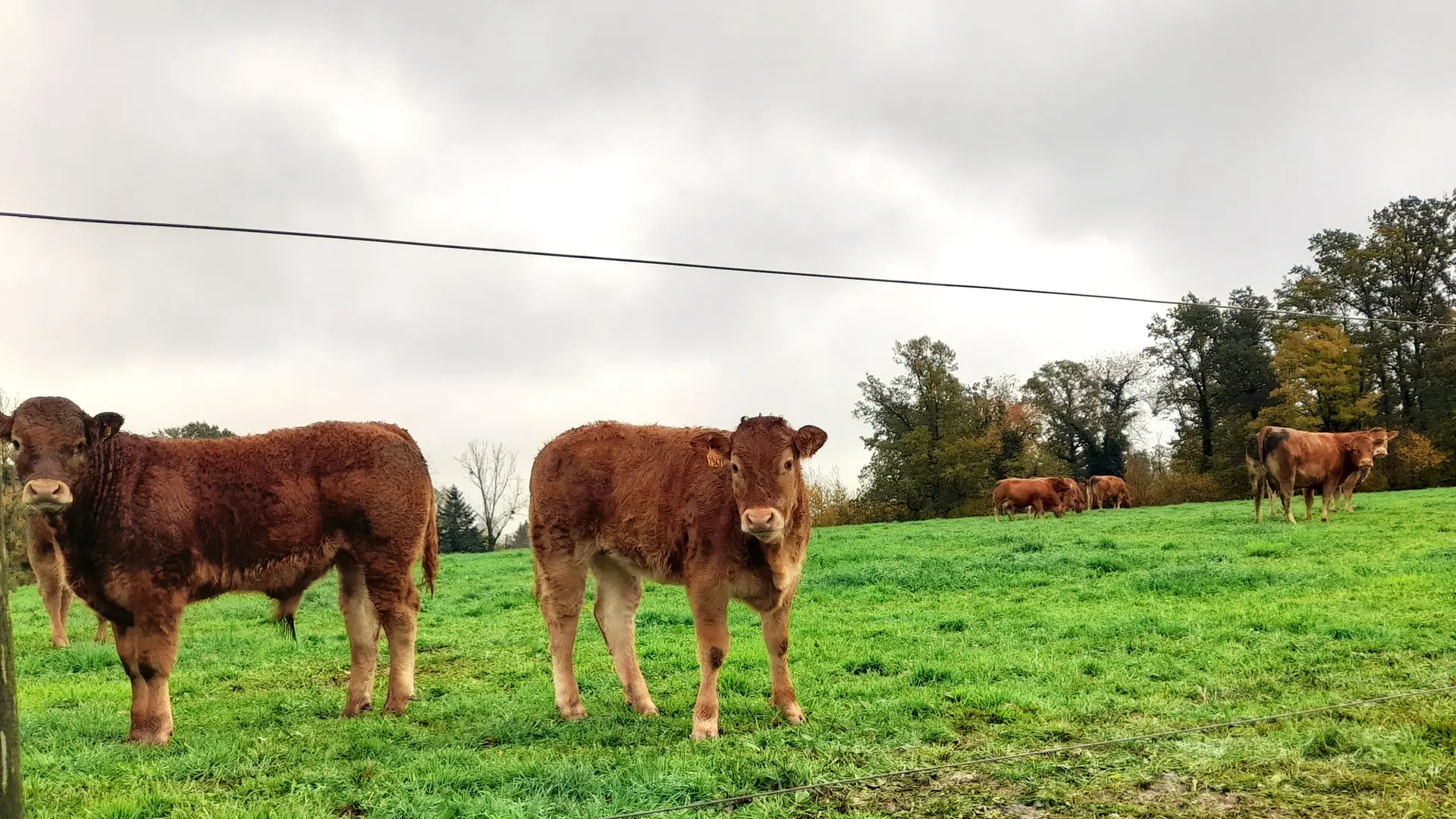 Germignac - Moulin de la Papeterie - Beyssenac - © N.Jumelle - OT TDC (2)