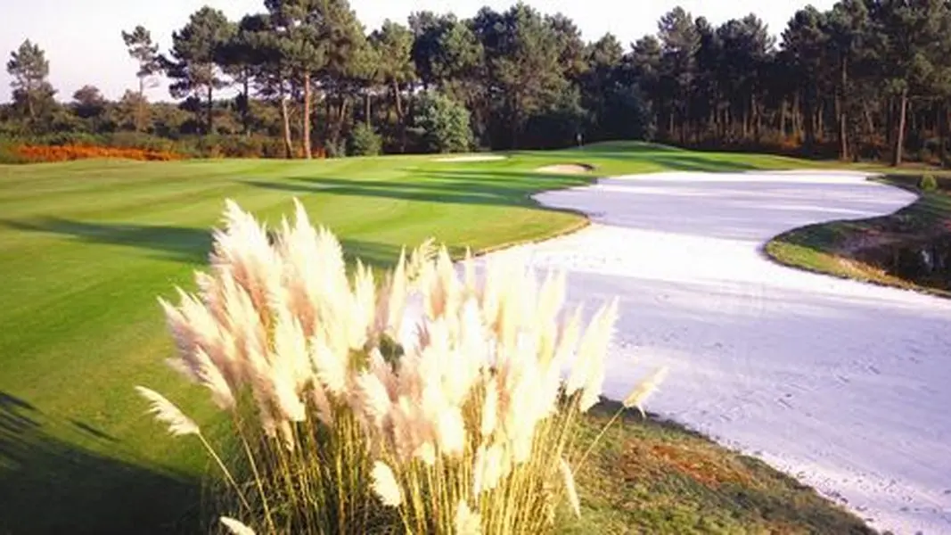 Golf-de-Gujan-5 [800x600]