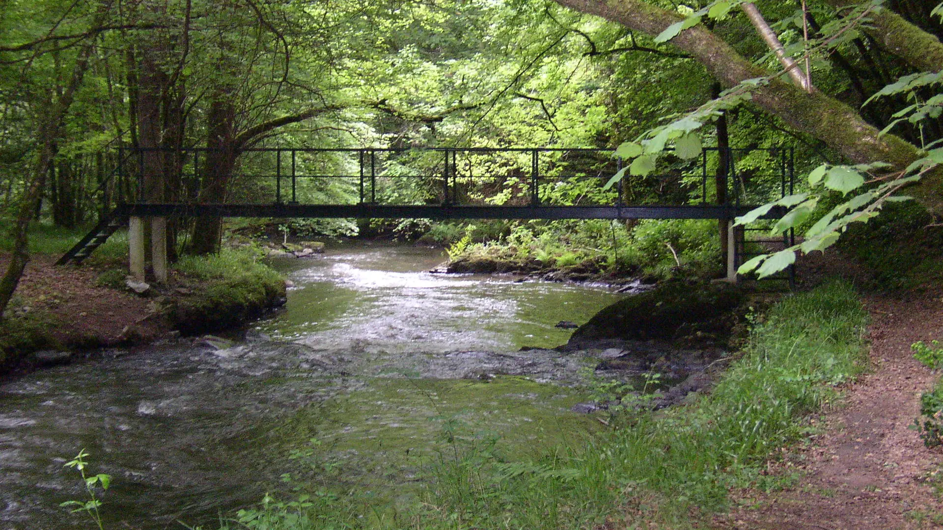 Gorges Loyre - Circuit des Chaises - Orgnac sur Vézère © C.Golfier - Office de Tourisme Terres de Corrèze (1)