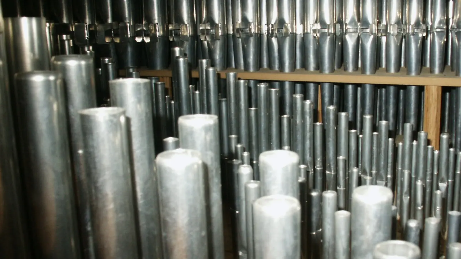 Grande forét intérieure