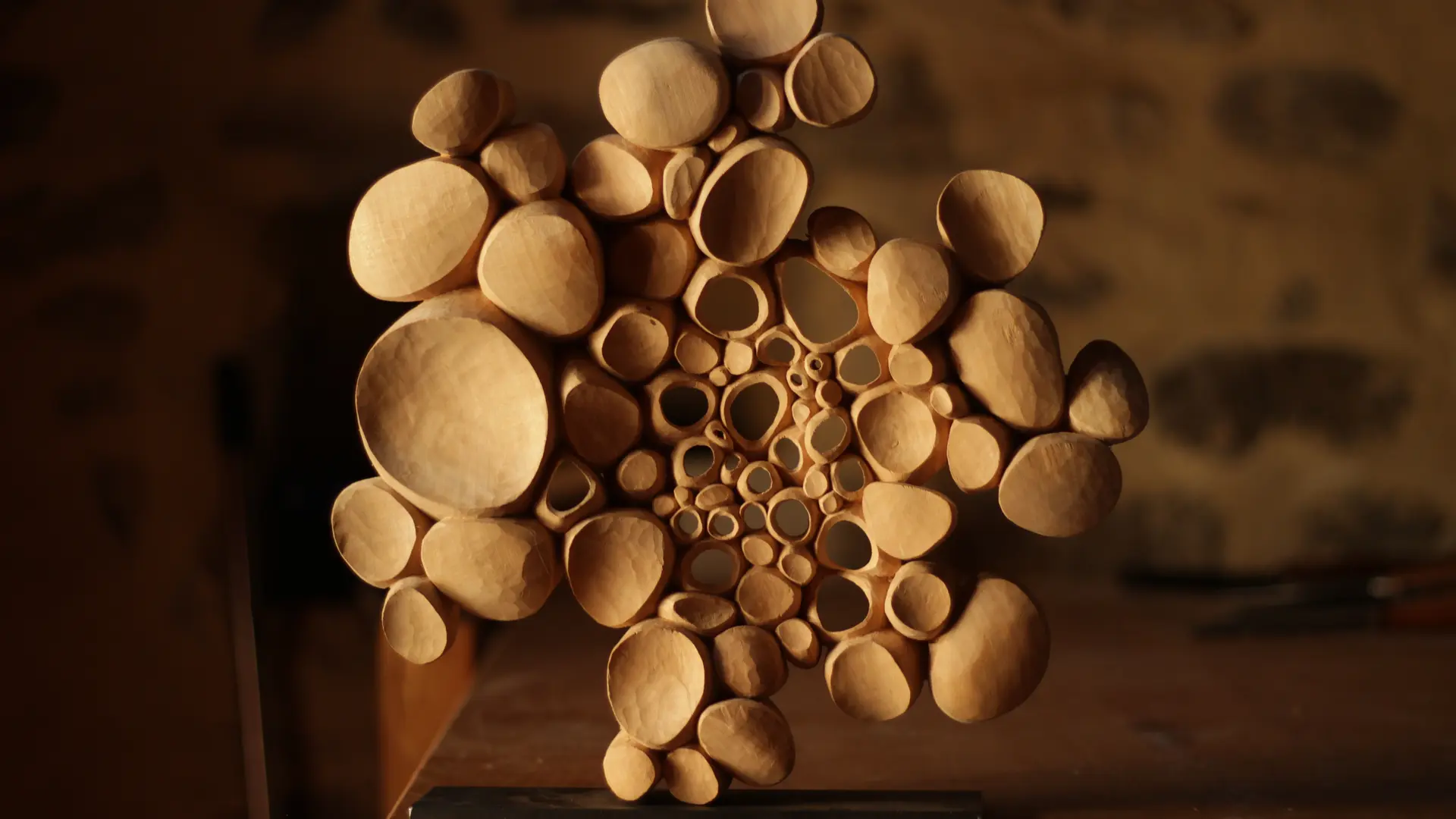 HFS_Cellules de Matière 1_crédit Antonin Bureau