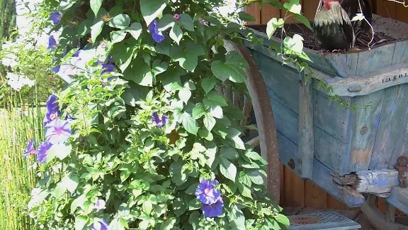 HLOAQU047FS003CU_grande5