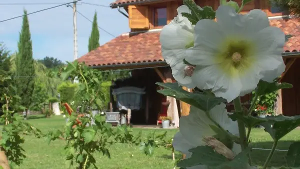 HLOAQU047FS003CU_grande8