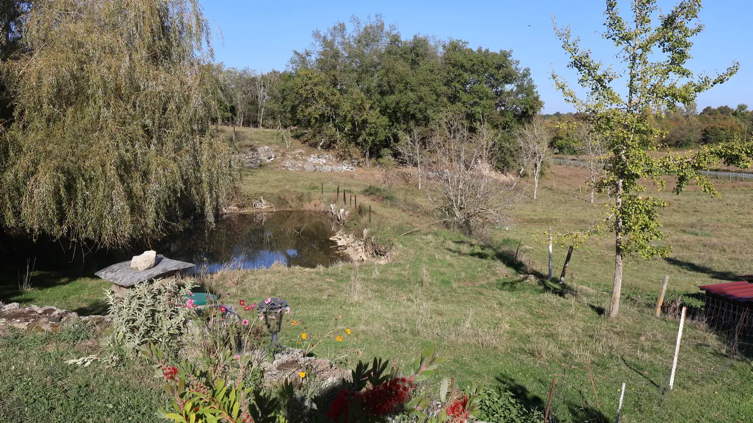 HLOAQU047V50NGNO_PRIEST_Fleurs étang_15