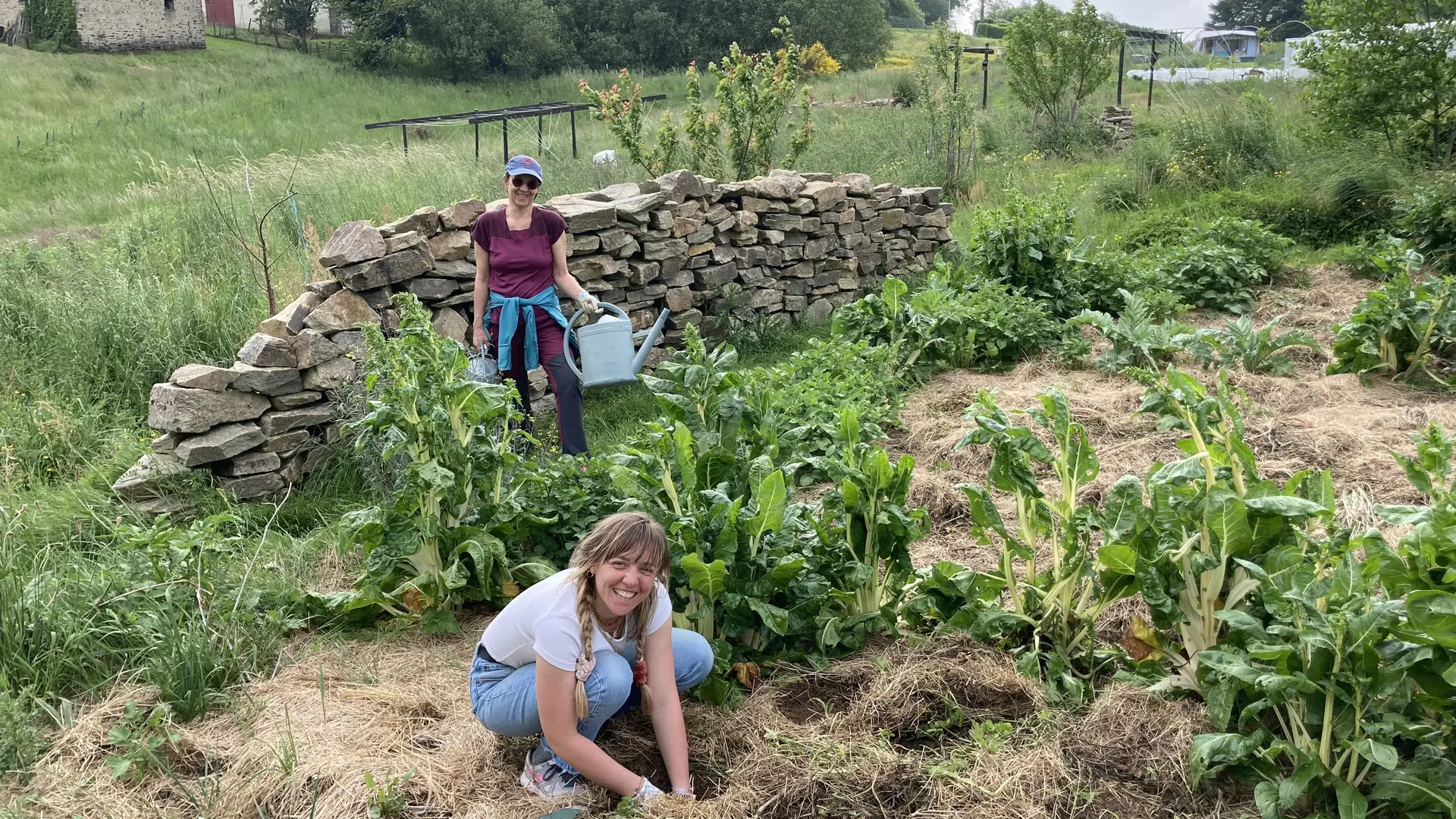 Stage Semaine Permaculture