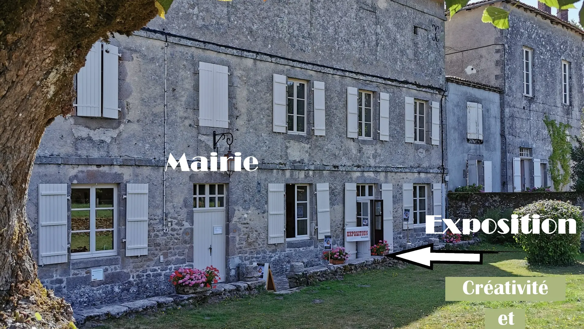 photo