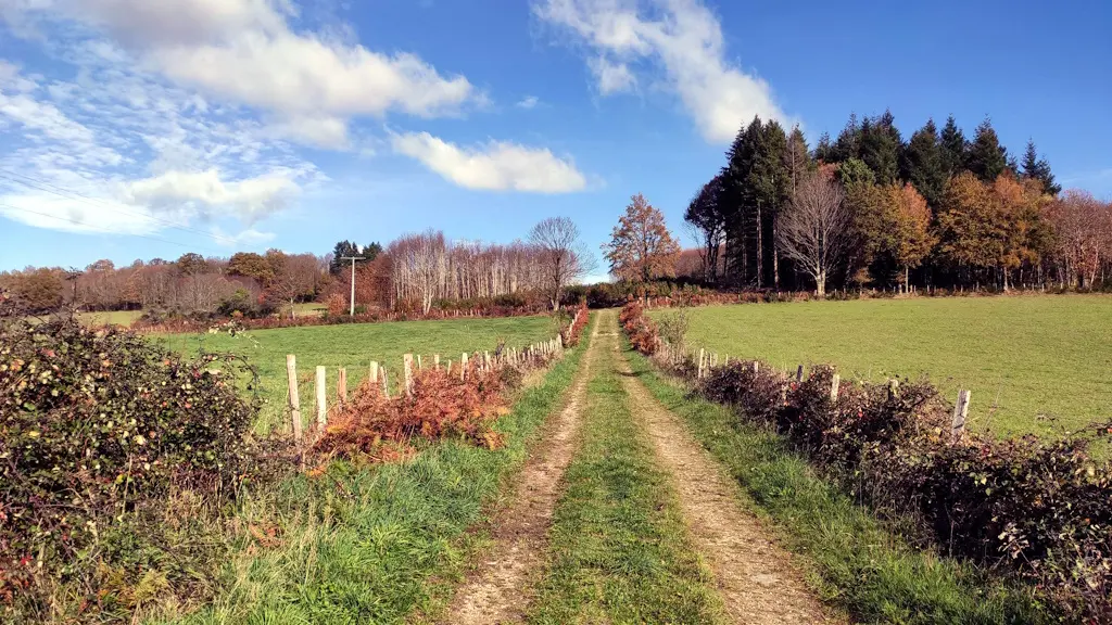 Sur le chemin de Buffengeas (Linards)