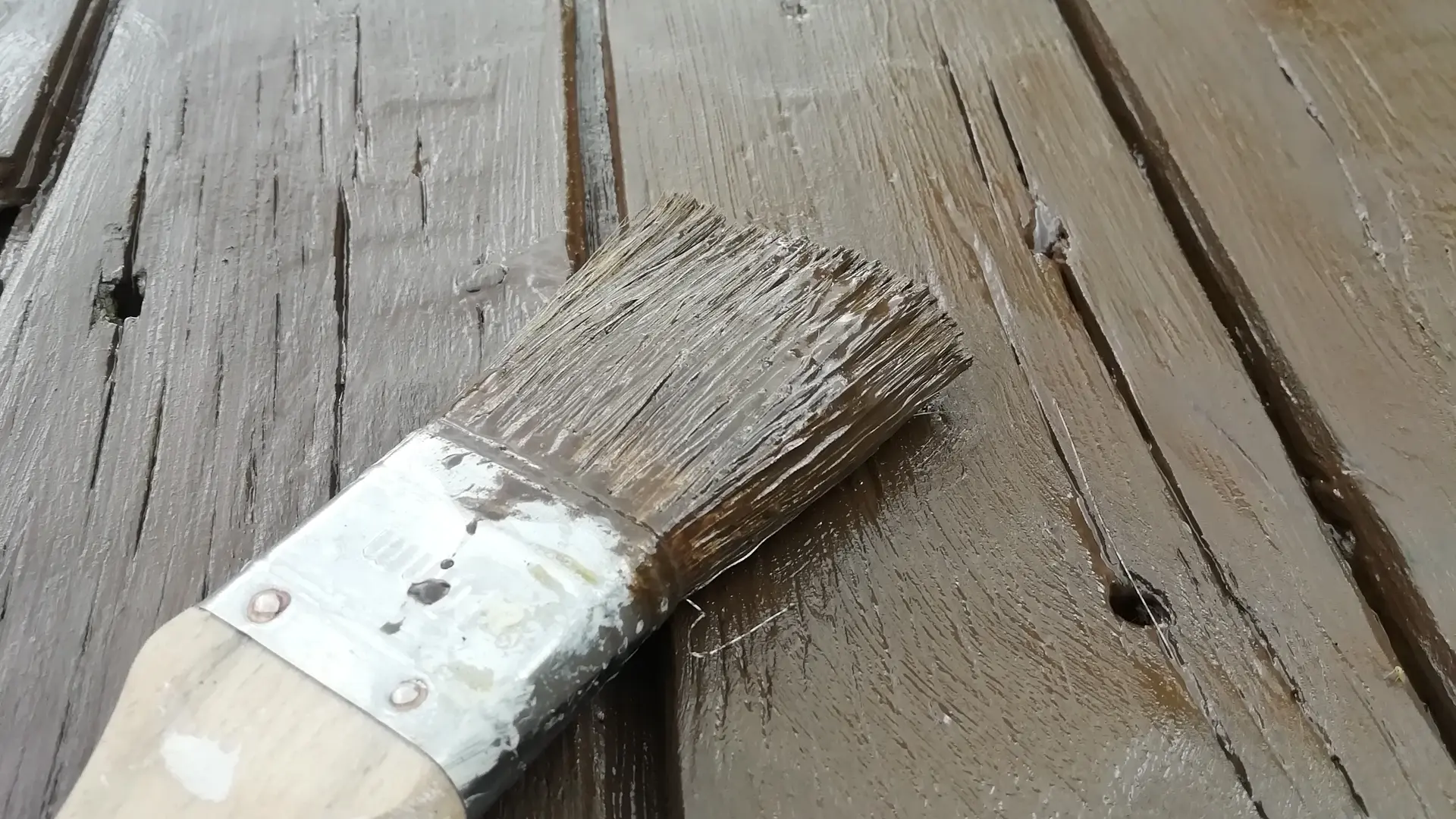Peinture végétale