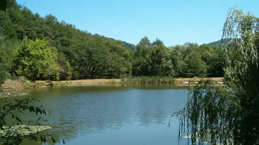IMG-20231228-WA0001