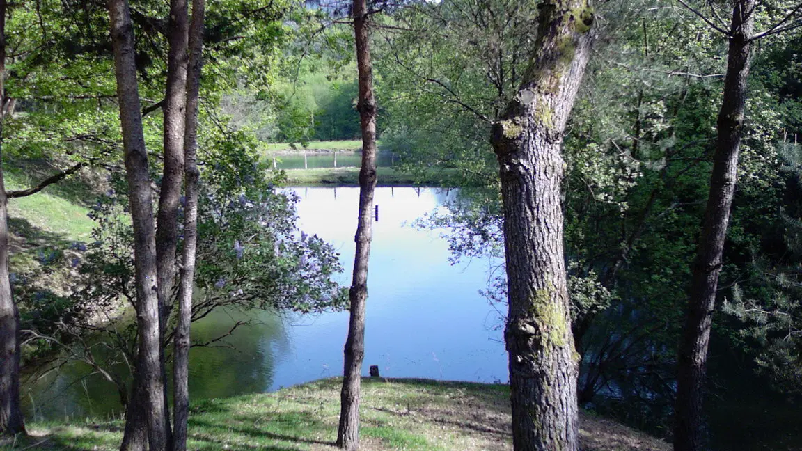 IMG-20231228-WA0002