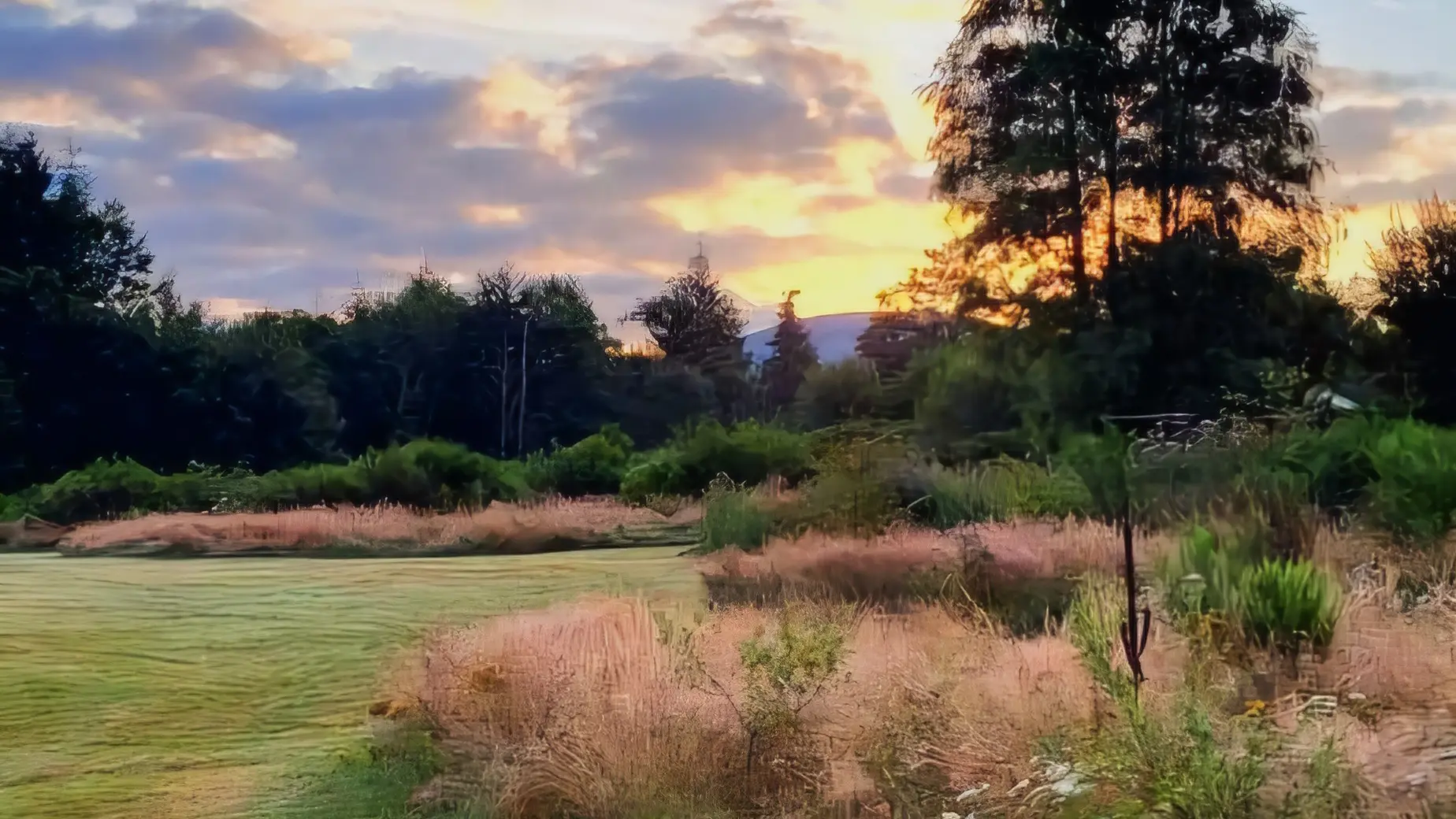 IMG_20240811_125022_760(1) (2)