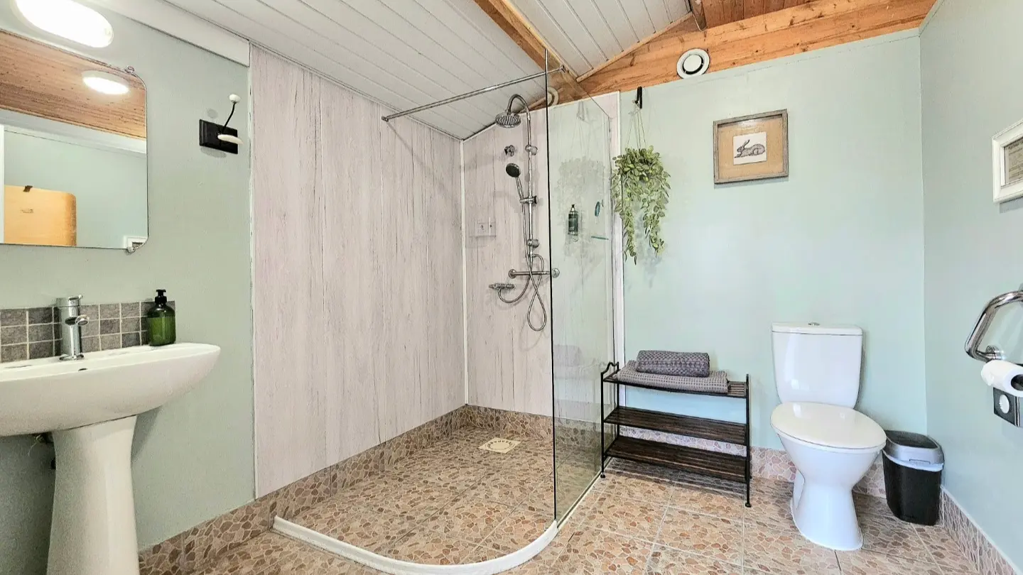 IMG_20240331_162333_158