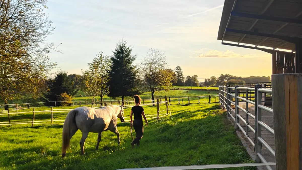 Ferme équestre Equi Complice