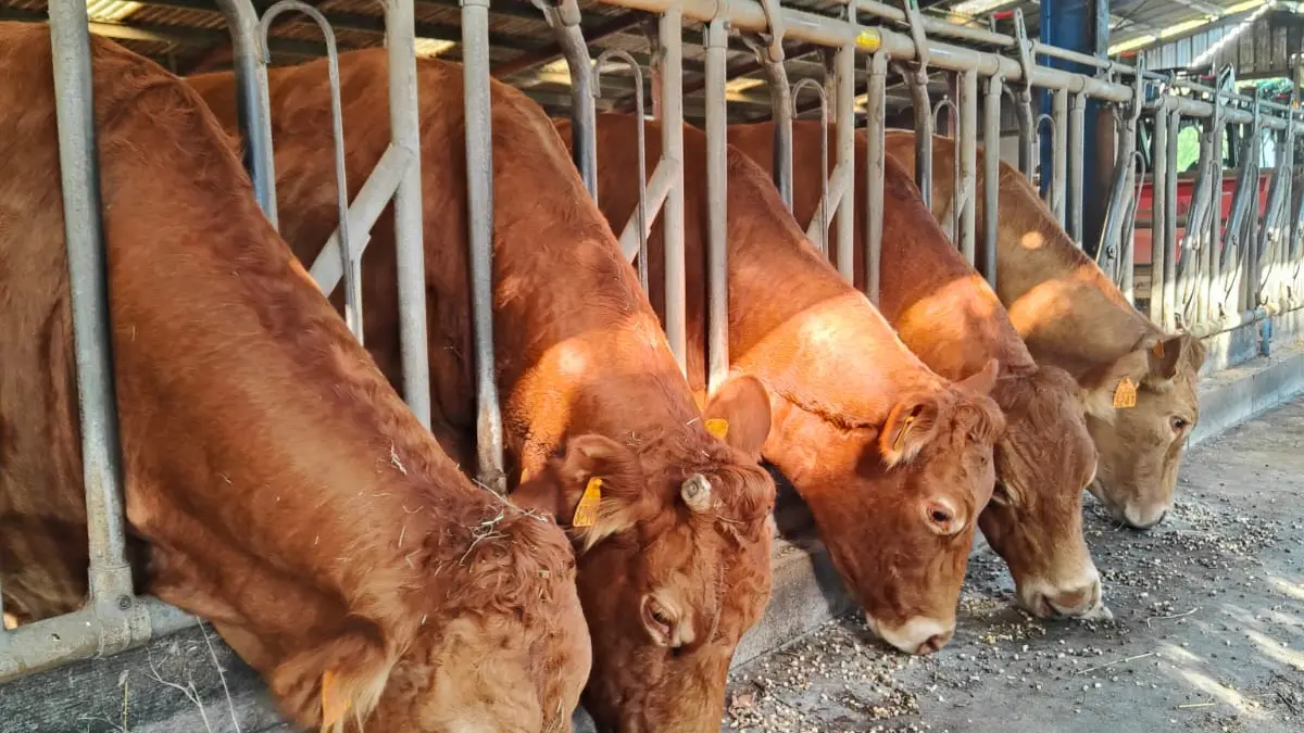 Ferme équestre Equi Complice