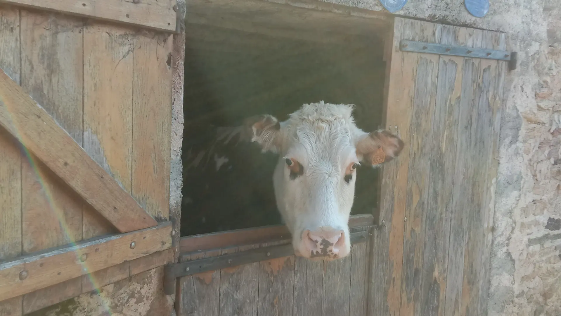 Ferme équestre Equi Complice