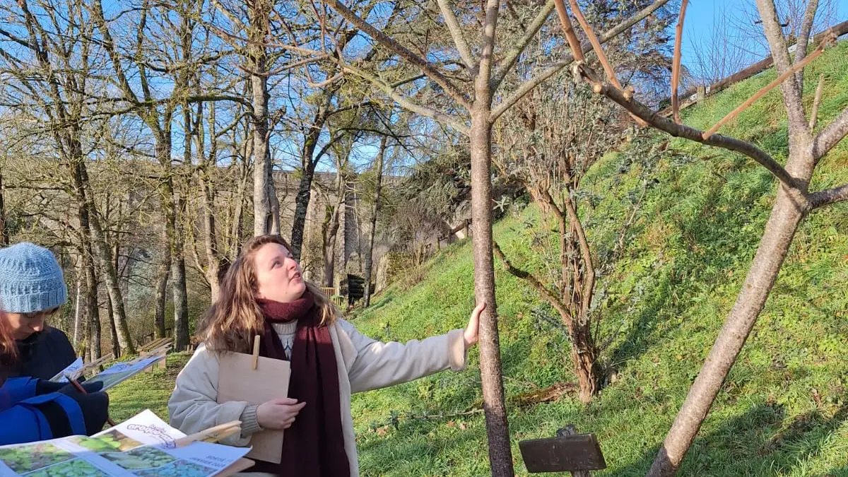 Balade comestible sur Bellac