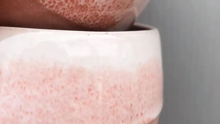 IMG_20260213_104134_873