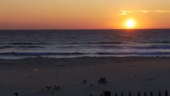 IMG-20260320-WA0012 (2) - 1K JPEG