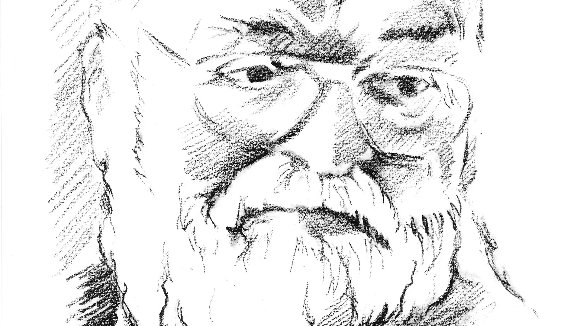 Micheu Chapduelh dessiné par Jacques Saraben