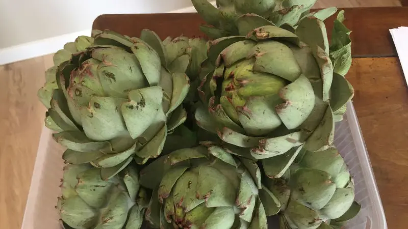 IMG-3758---800-x-600