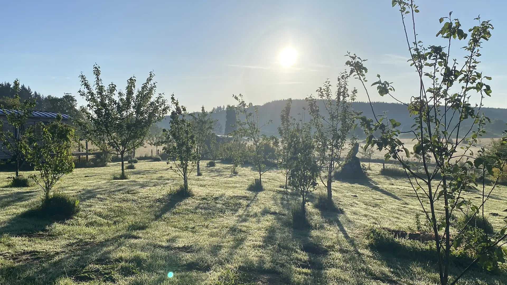 Roulotte du Verger, vue sur le verger