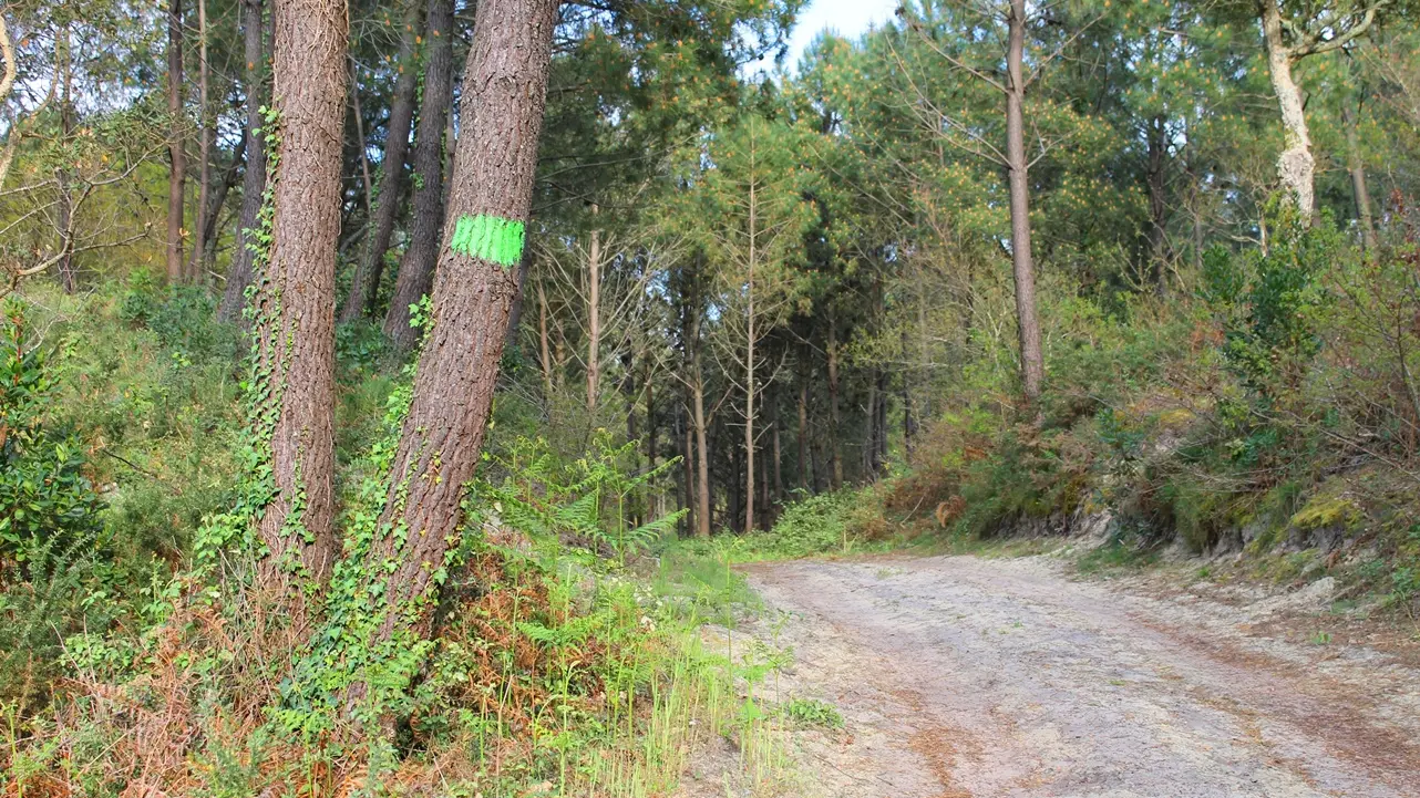 randonnée sur le circuit vert