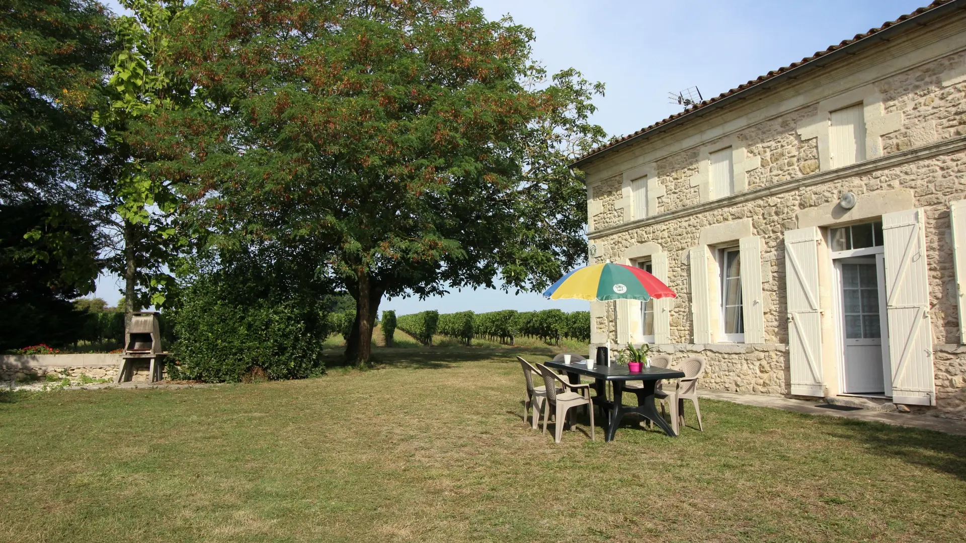 IMG-6889-1