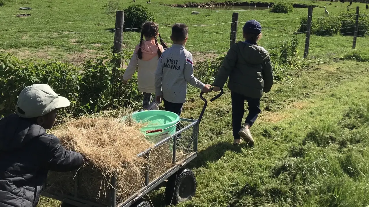 Les Sabots de Laine nourrissage