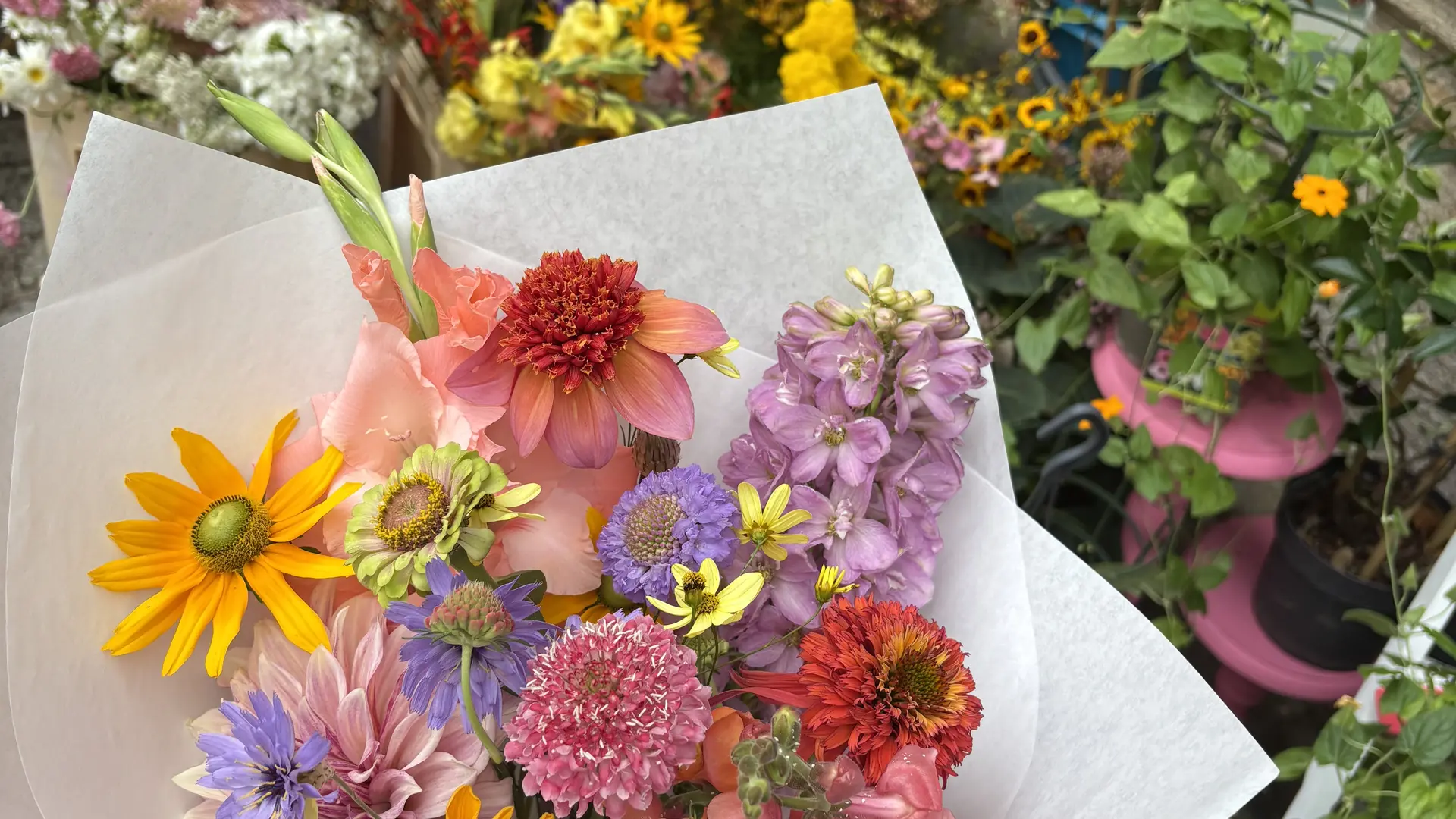 Bouquet de fleurs fraiches