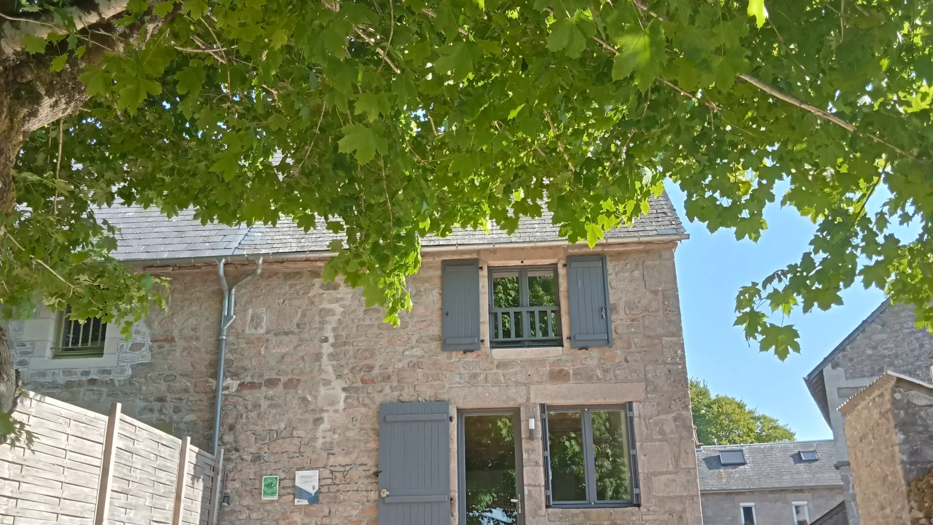 IMG20250515090608