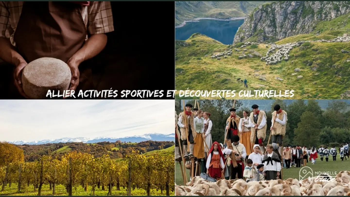 Image 5 - Découvertes culturelles